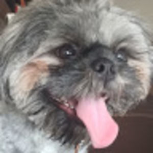 Meet your Posher, Vista